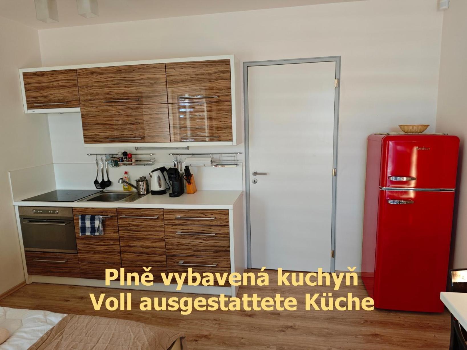 Apartman Sova - Klinovec Loučná pod Klínovcem Exteriér fotografie